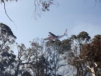 Paddys River Fire Paddysfly